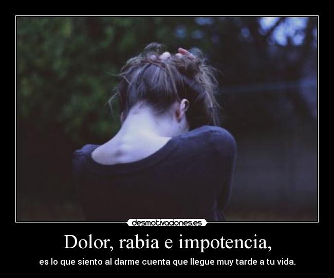 Dolor, rabia e impotencia, - es lo que siento al darme cuenta que llegue muy tarde a tu vida.