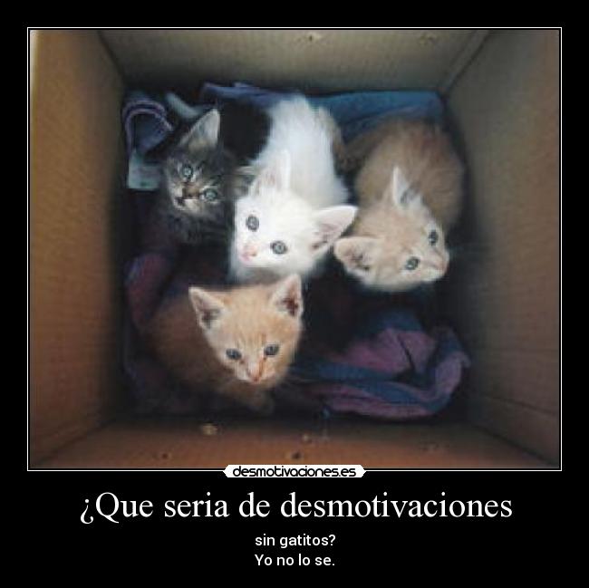 ¿Que seria de desmotivaciones - sin gatitos?
Yo no lo se.