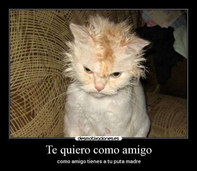 Te quiero como amigo - como amigo tienes a tu puta madre