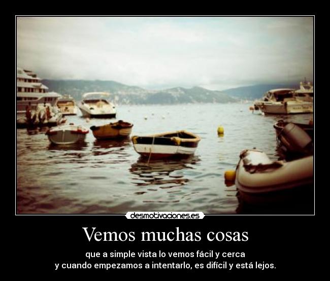 Vemos muchas cosas -