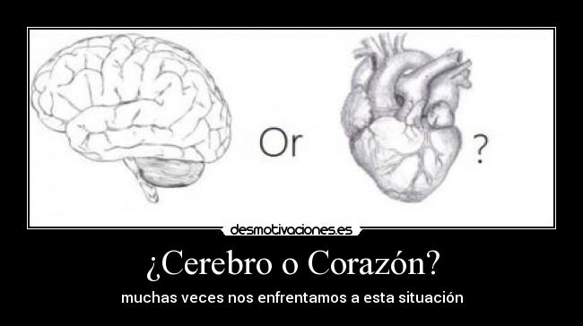 ¿Cerebro o Corazón? - muchas veces nos enfrentamos a esta situación