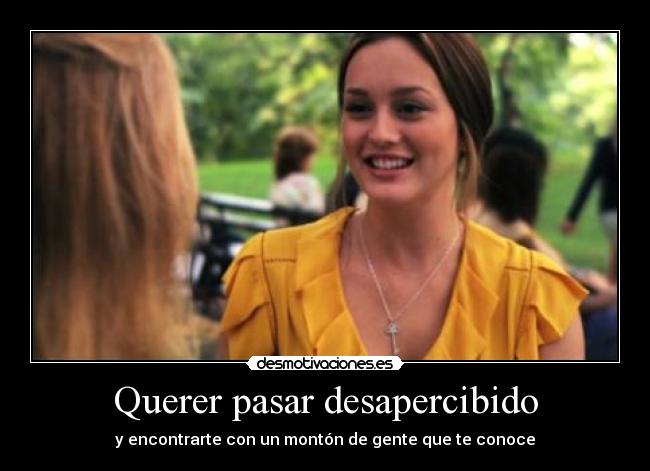 carteles gossip girl serena blair nate chuck chace leighton blake disco desmotivaciones