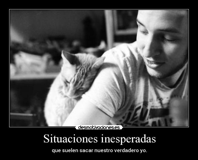 carteles cinderella cree que hielo demasiado frio jajaj complicado explicar xdd desmotivaciones