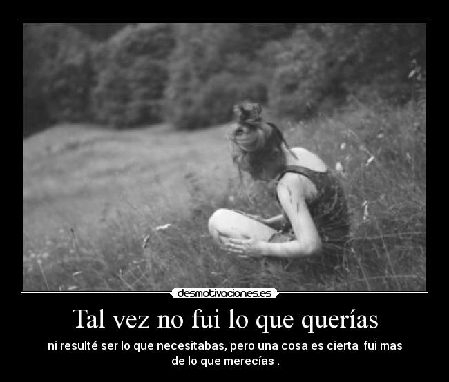 Tal vez no fui lo que querías - 