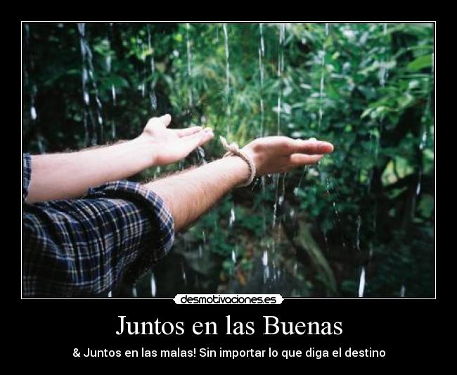 carteles together desmotivaciones