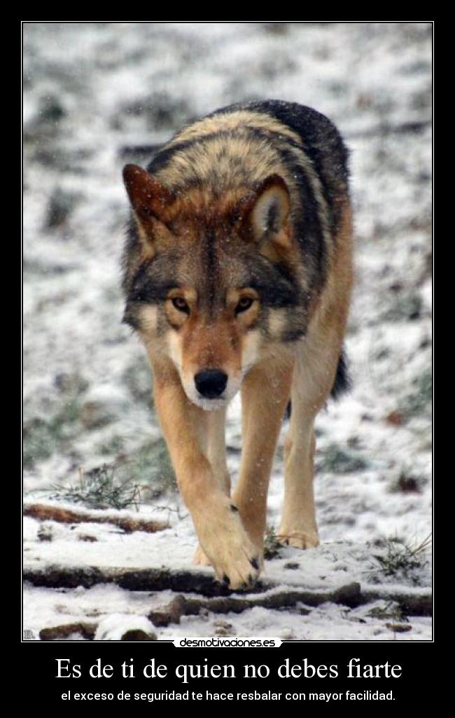 carteles carlososuna96 desmotivaciones