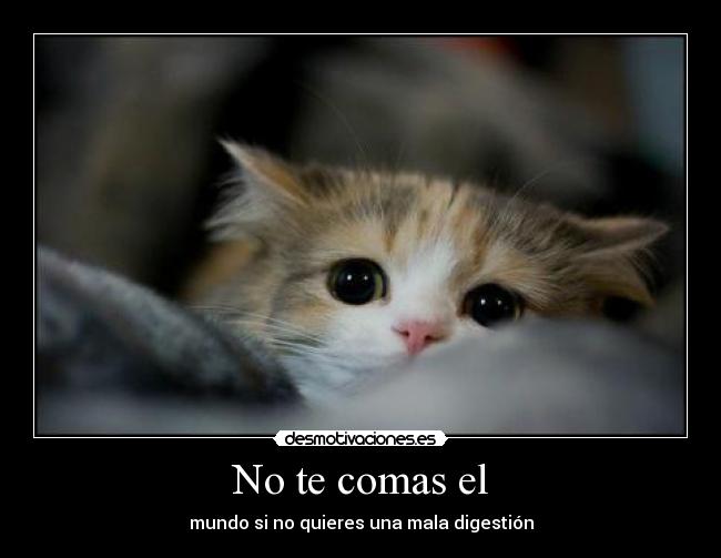 No te comas el - mundo si no quieres una mala digestión