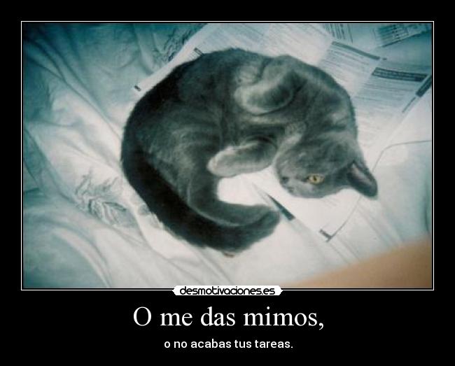 O me das mimos, - o no acabas tus tareas.