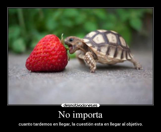 No importa - 