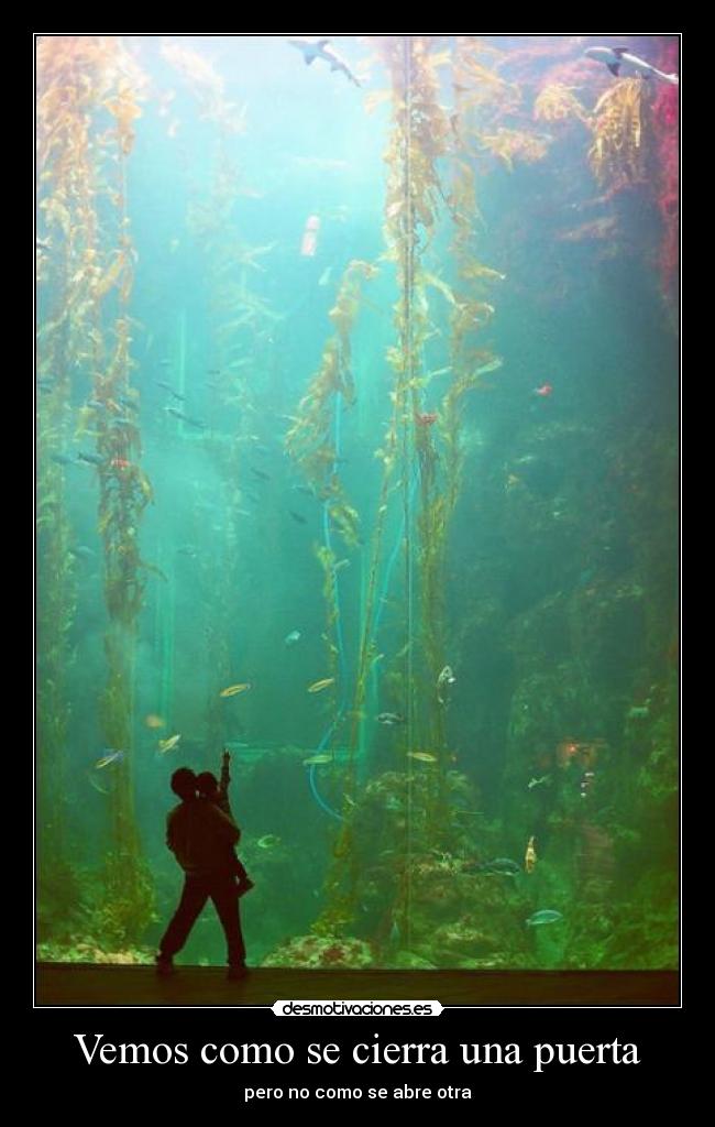 Vemos como se cierra una puerta - 