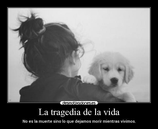 La tragedia de la vida -
