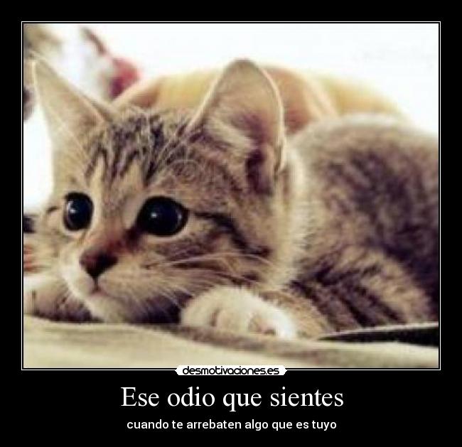 Ese odio que sientes - cuando te arrebaten algo que es tuyo