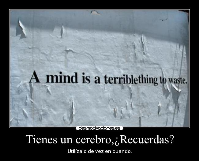 Tienes un cerebro,¿Recuerdas? - Utilízalo de vez en cuando.