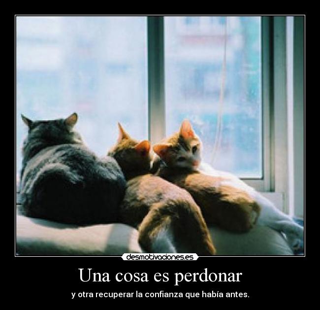 carteles mismo desmotivaciones