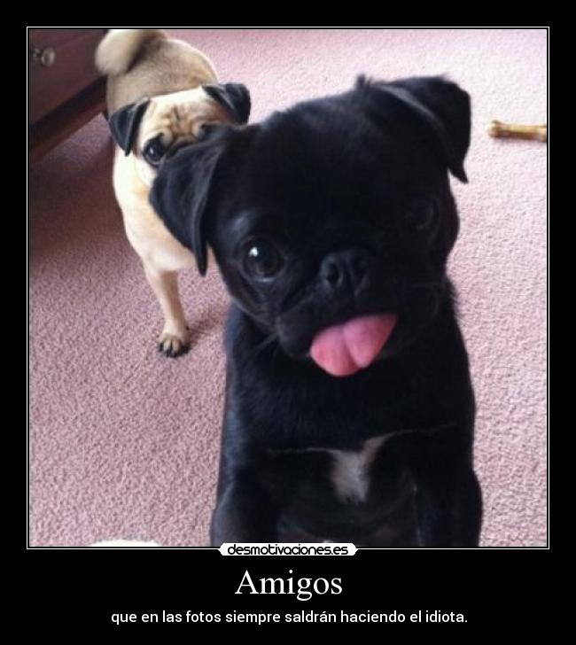 Amigos - que en las fotos siempre saldrán haciendo el idiota.