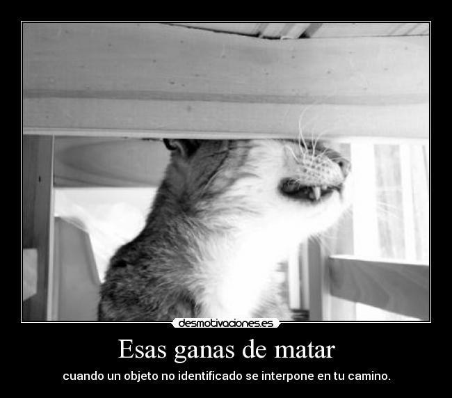 carteles iristello intruders desmotivaciones