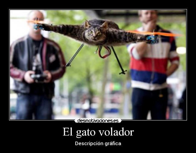 El gato volador - 