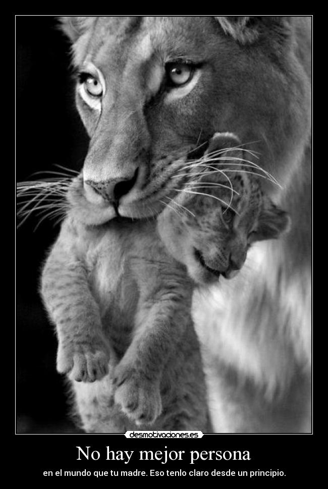 No hay mejor persona - en el mundo que tu madre. Eso tenlo claro desde un principio.