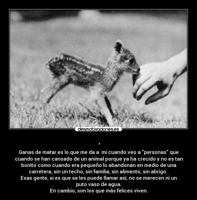 . - Ganas de matar es lo que me da a mí cuando veo a personas que
cuando se han cansado de un animal porque ya ha crecido y no es tan
bonito como cuando era pequeño lo abandonan en medio de una
carretera, sin un techo, sin familia, sin alimento, sin abrigo.
Esas gente, si es que se les puede llamar así, no se merecen ni un
puto vaso de agua.
En cambio, son los que más felices viven.