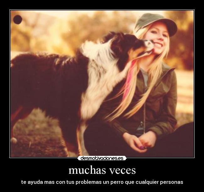 muchas veces - te ayuda mas con tus problemas un perro que cualquier personas