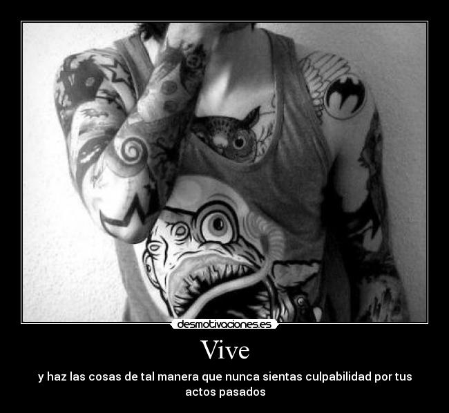 Vive - 