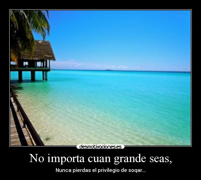 No importa cuan grande seas, - Nunca pierdas el privilegio de soqar...