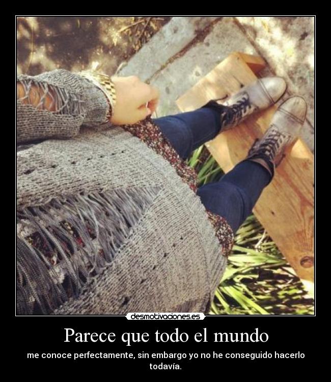 Parece que todo el mundo - me conoce perfectamente, sin embargo yo no he conseguido hacerlo todavía.