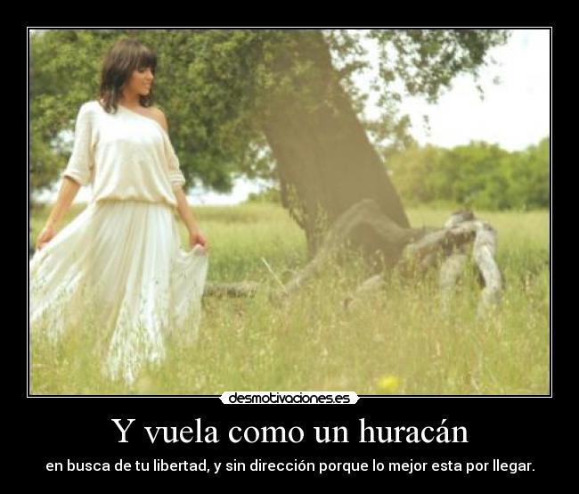 carteles sin direccion desmotivaciones