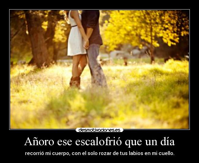 Añoro ese escalofrió que un día - recorrió mi cuerpo, con el solo rozar de tus labios en mi cuello.