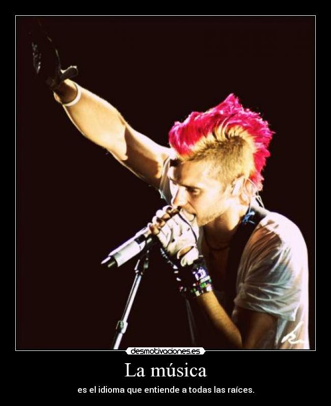 La música - es el idioma que entiende a todas las raíces.