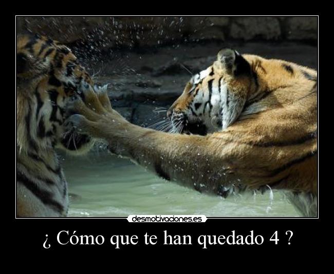 ¿ Cómo que te han quedado 4 ? - 