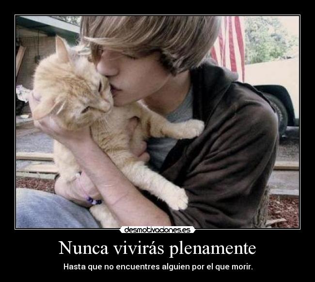 Nunca vivirás plenamente -