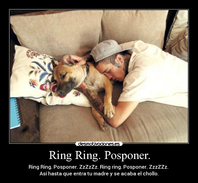 Ring Ring. Posponer. - Ring Ring. Posponer. ZzZzZz. Ring ring. Posponer. ZzzZZz. 
Así hasta que entra tu madre y se acaba el chollo.