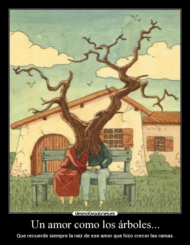 Un amor como los árboles... - Que recuerde siempre la raíz de ese amor que hizo crecer las ramas.