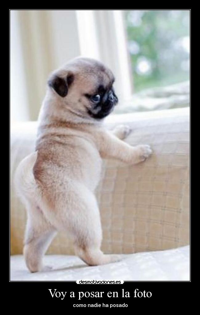 carteles guapooooo desmotivaciones