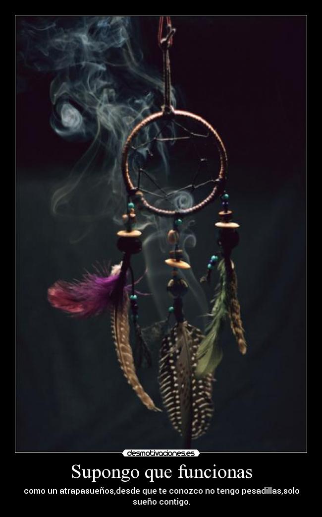 Supongo que funcionas - como un atrapasueños,desde que te conozco no tengo pesadillas,solo sueño contigo.
