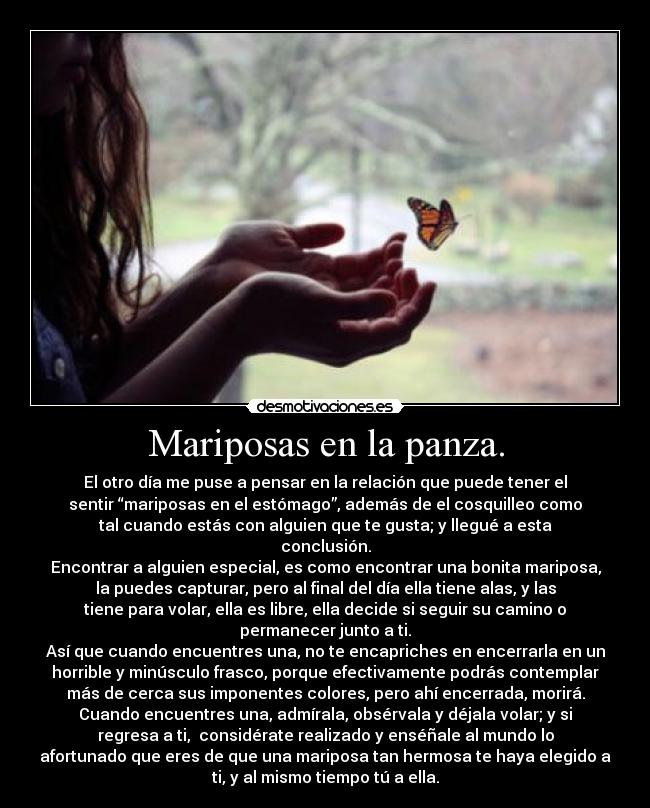 Mariposas en la panza. - El otro día me puse a pensar en la relación que puede tener el
sentir “mariposas en el estómago”, además de el cosquilleo como
tal cuando estás con alguien que te gusta; y llegué a esta
conclusión.
Encontrar a alguien especial, es como encontrar una bonita mariposa,
la puedes capturar, pero al final del día ella tiene alas, y las
tiene para volar, ella es libre, ella decide si seguir su camino o
permanecer junto a ti.
Así que cuando encuentres una, no te encapriches en encerrarla en un
horrible y minúsculo frasco, porque efectivamente podrás contemplar
más de cerca sus imponentes colores, pero ahí encerrada, morirá.
Cuando encuentres una, admírala, obsérvala y déjala volar; y si
regresa a ti, considérate realizado y enséñale al mundo lo
afortunado que eres de que una mariposa tan hermosa te haya elegido a
ti, y al mismo tiempo tú a ella.
