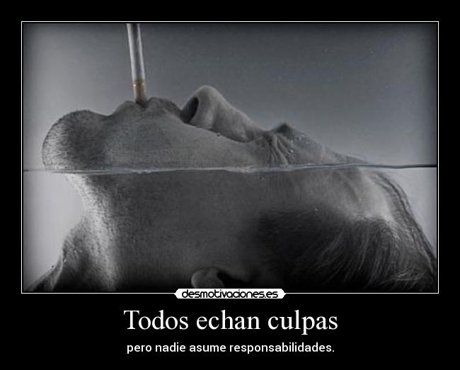 Todos echan culpas - 