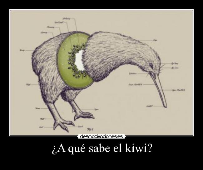 ¿A qué sabe el kiwi? - 