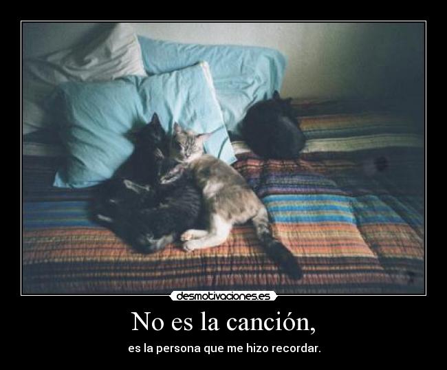 No es la canción, -