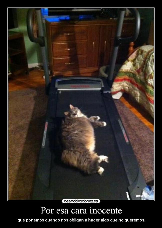 Por esa cara inocente - que ponemos cuando nos obligan a hacer algo que no queremos.