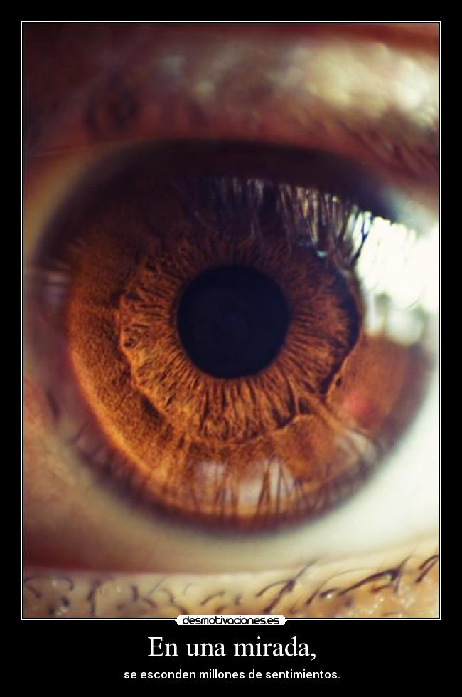 En una mirada, -