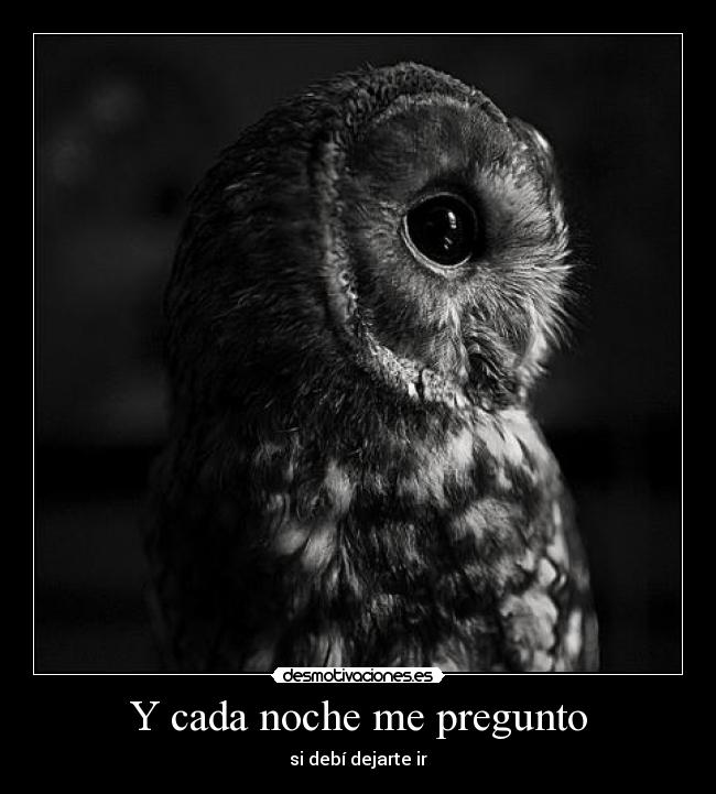 Y cada noche me pregunto - si debí dejarte ir