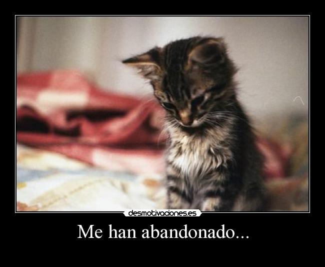 Me han abandonado... -