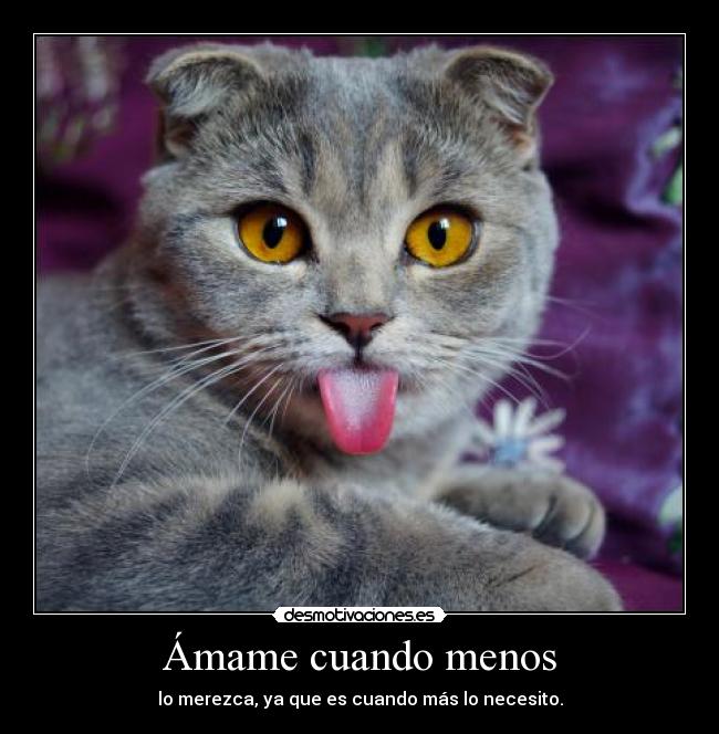 Imágenes y Carteles de GATU | Desmotivaciones