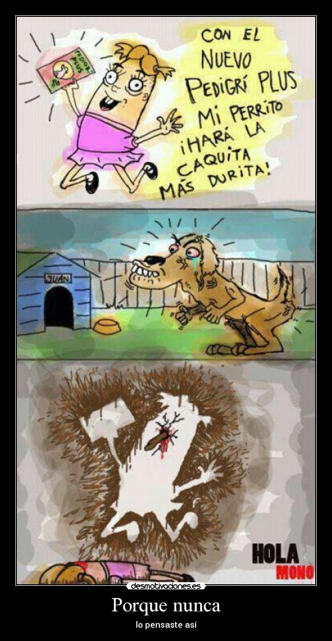 Porque nunca - lo pensaste así