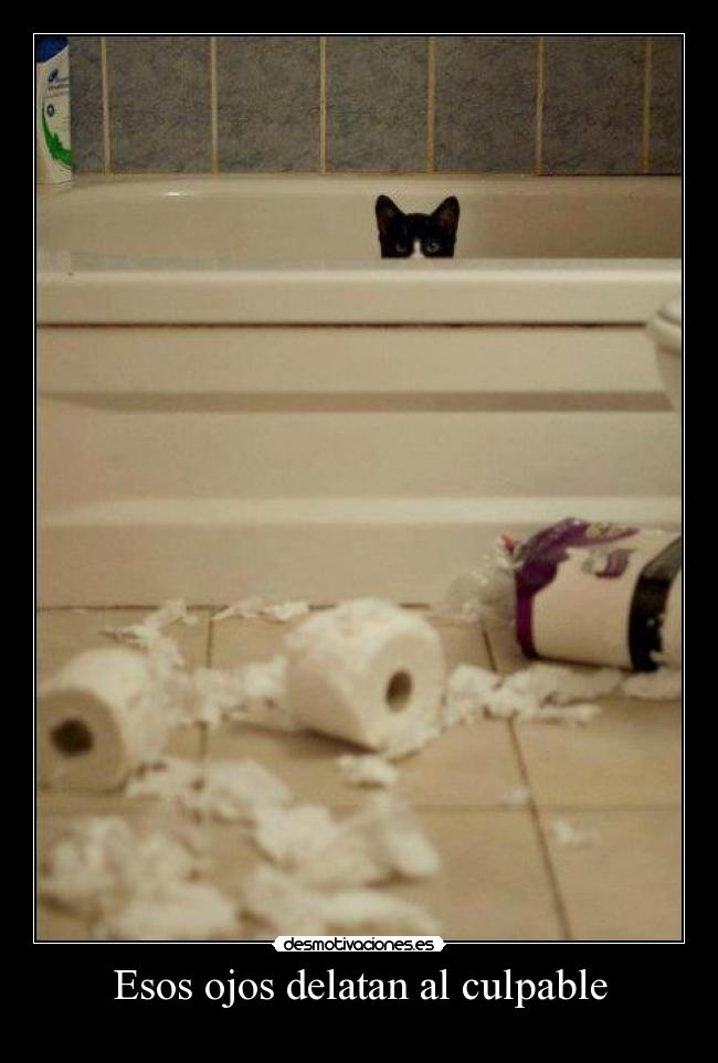 carteles esos ojos delatan desmotivaciones
