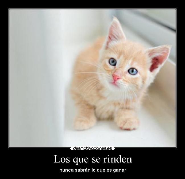 Los que se rinden - nunca sabrán lo que es ganar