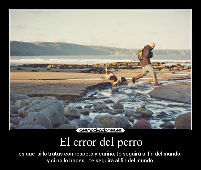 El error del perro - 