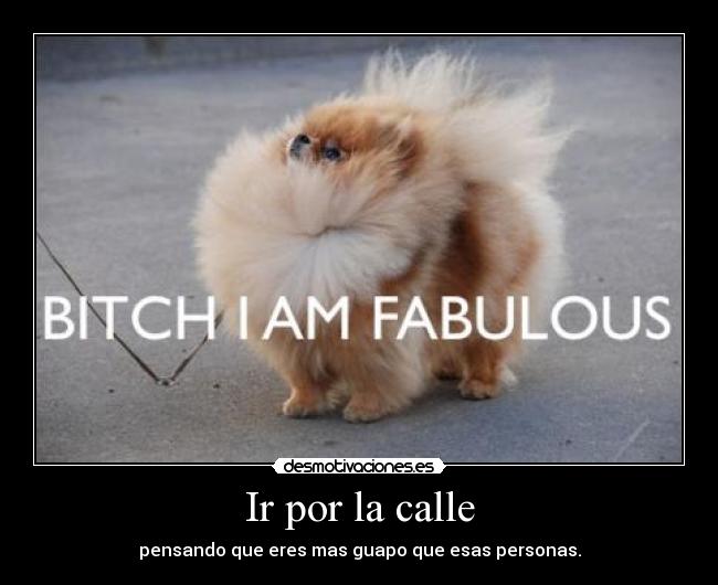 Ir por la calle - pensando que eres mas guapo que esas personas.